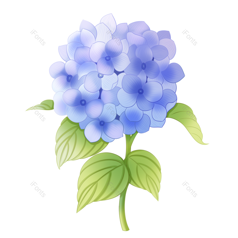 团圆图片,花卉元素,绿植PNG,蓝紫色免抠素材